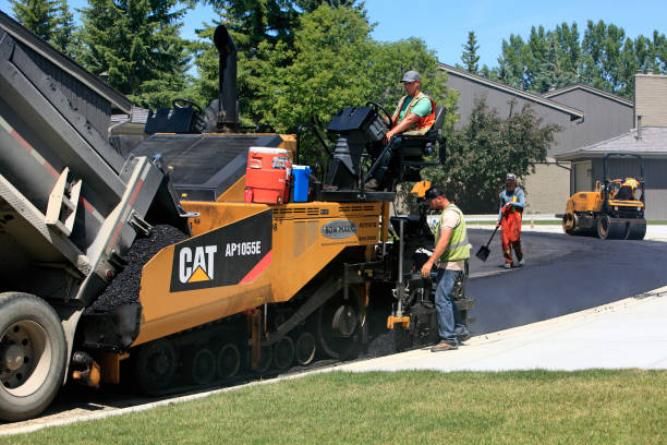 Best Local Driveway Pavers  in Arapahoe, WY